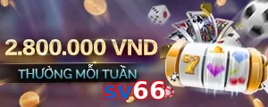 sv66